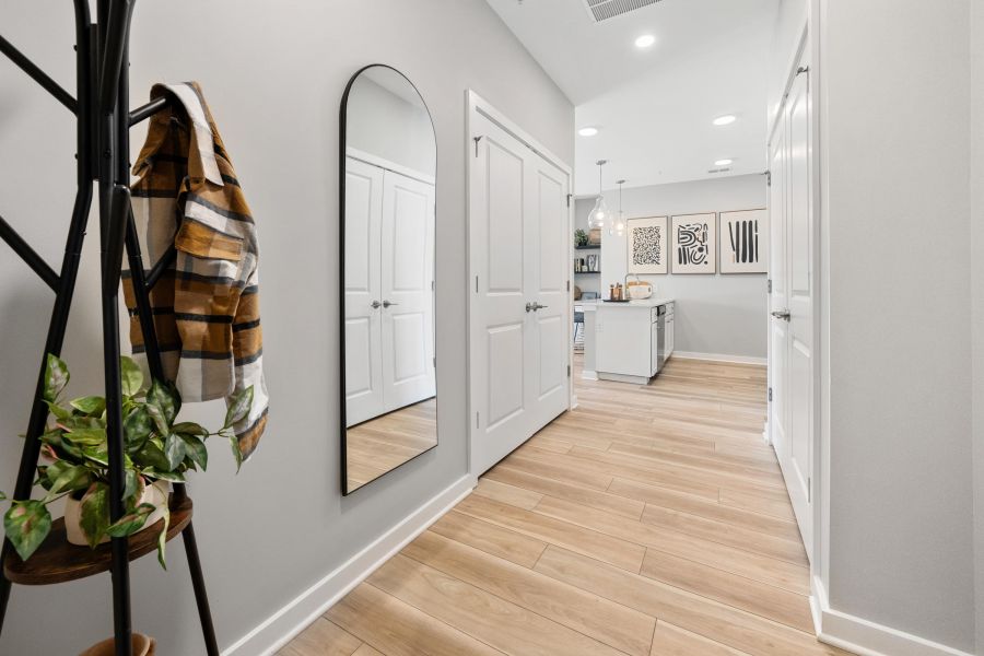 Modern hallway with a mirror, coat rack, striped scarf, potted plant, and light wood flooring.