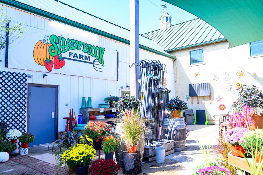 Outdoor area at Shady Brook Farm with flowers, plants, gardening tools, and farm decor in bright sunlight.