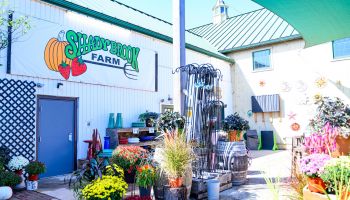 Shady Brook Farm