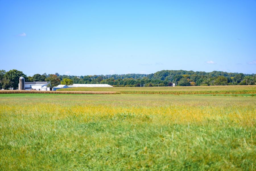 A green field with a distant farm building, silo, and trees under a clear blue sky.