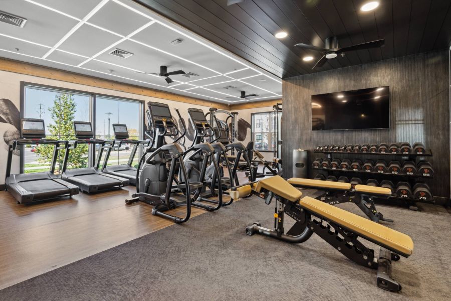 Modern gym with treadmills, elliptical machines, weight bench, dumbbells, and a TV on the wall.