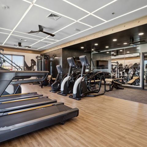 Modern gym with treadmills, stationary bikes, weight machines, and large windows on wood flooring.